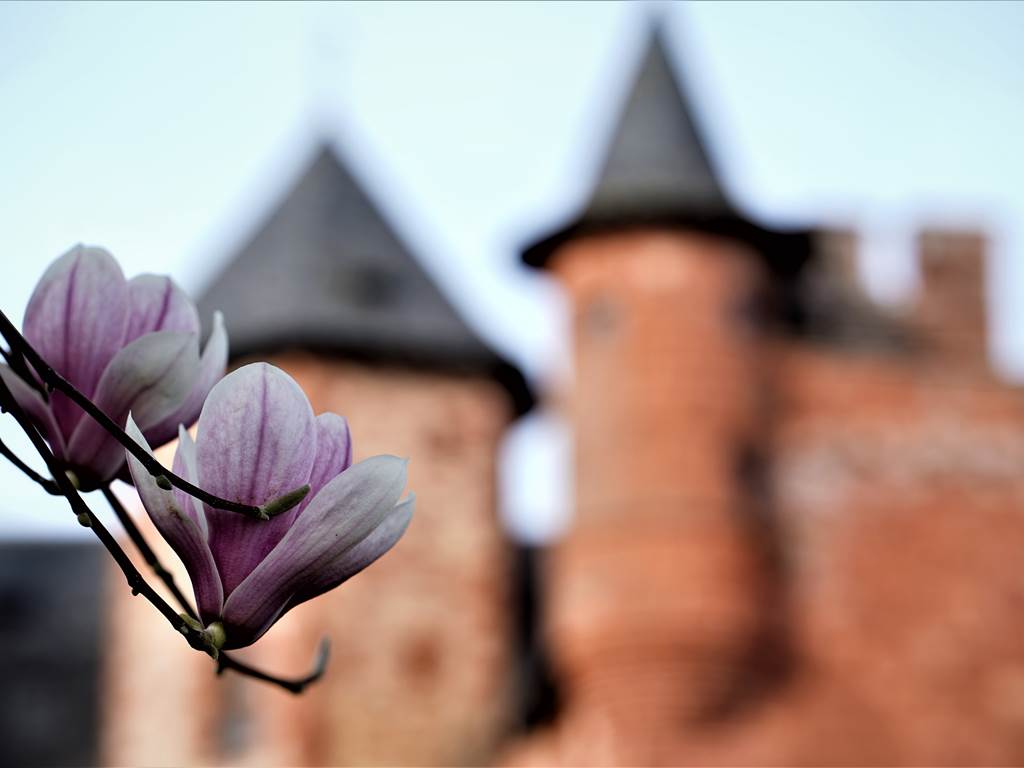 Château de Vassinhac Collonges la rouge les fleurs du jardin