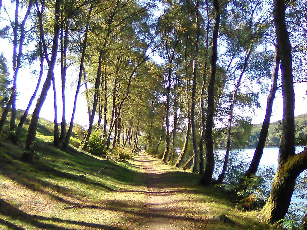Sentier de rives à Nergout