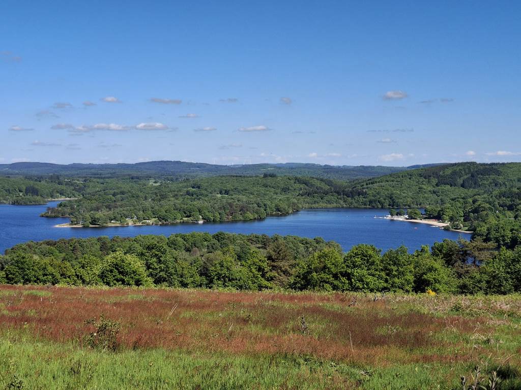 IMG-20260120-WA0009