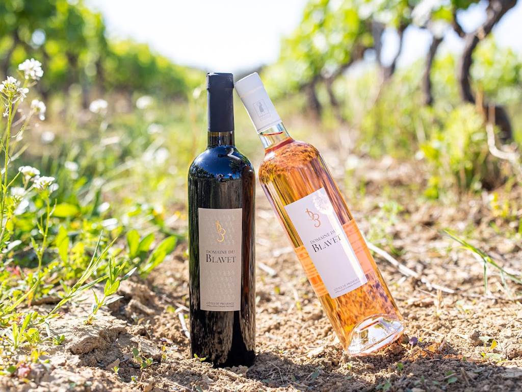 Domaine-du-Blavet-vins