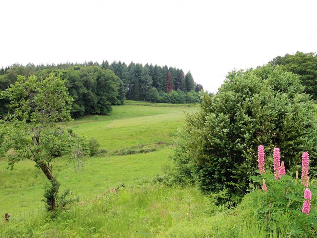 Gîte n°87G5251 "Chalendeix" – NEDDE
