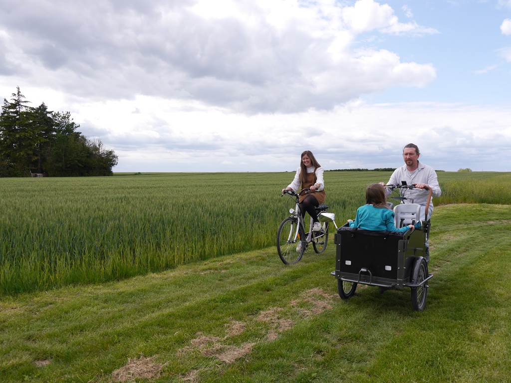 location de vélo