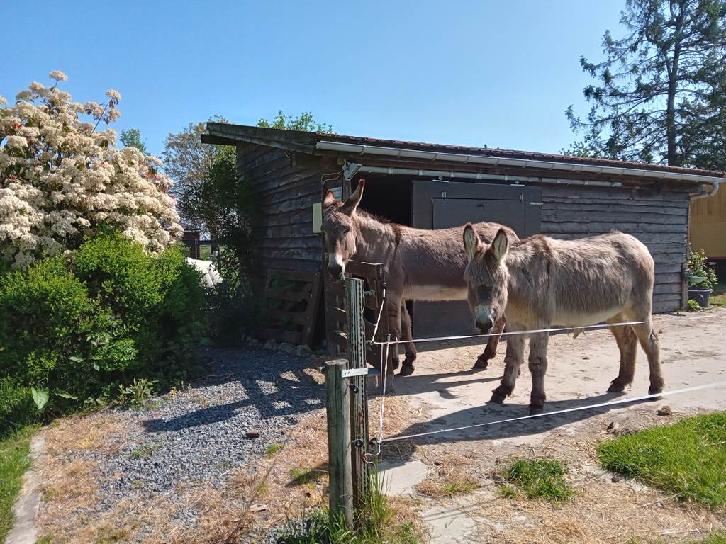 gîte côté jardin