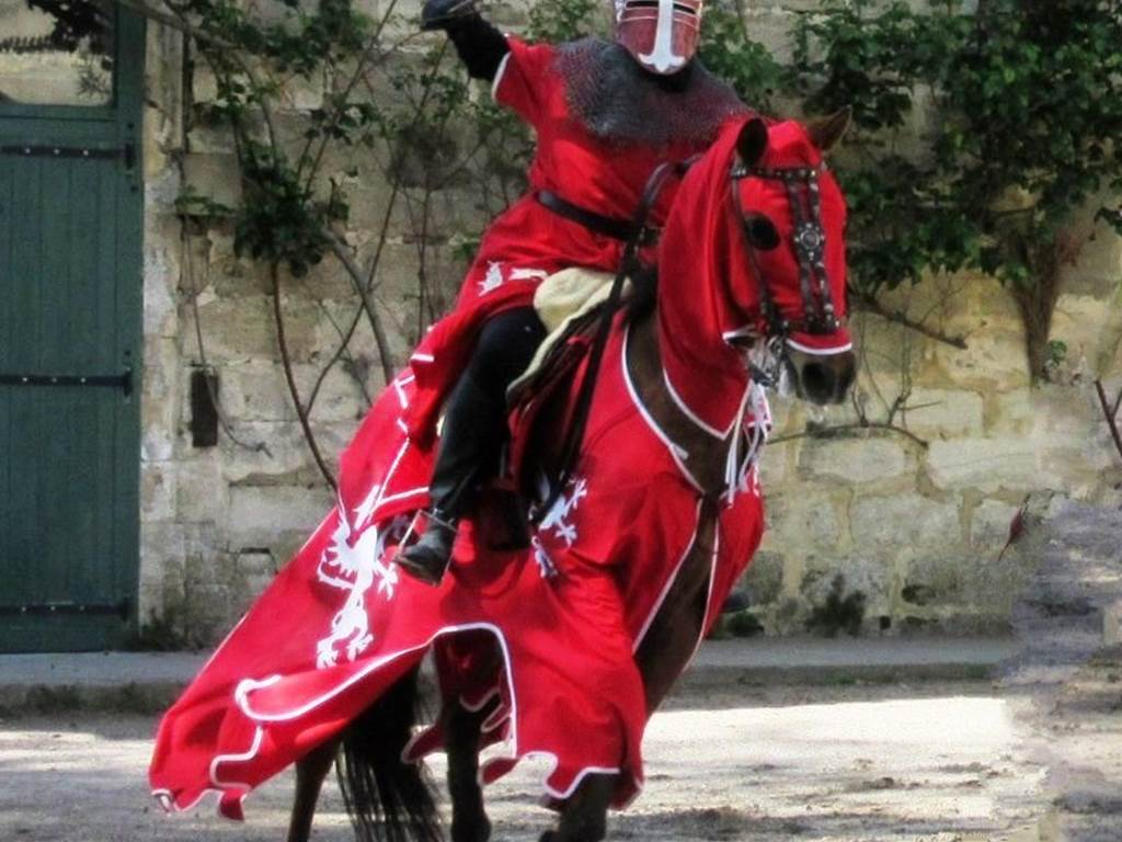 le chevalier dragon