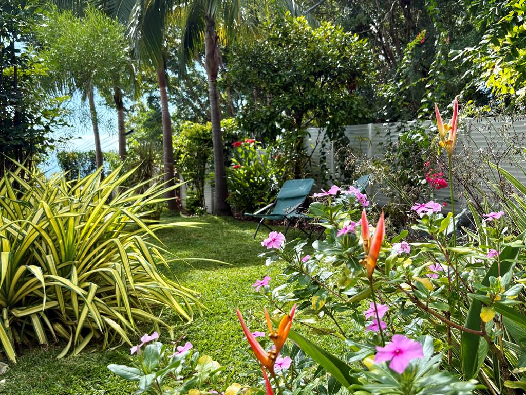 Jardin tropical
