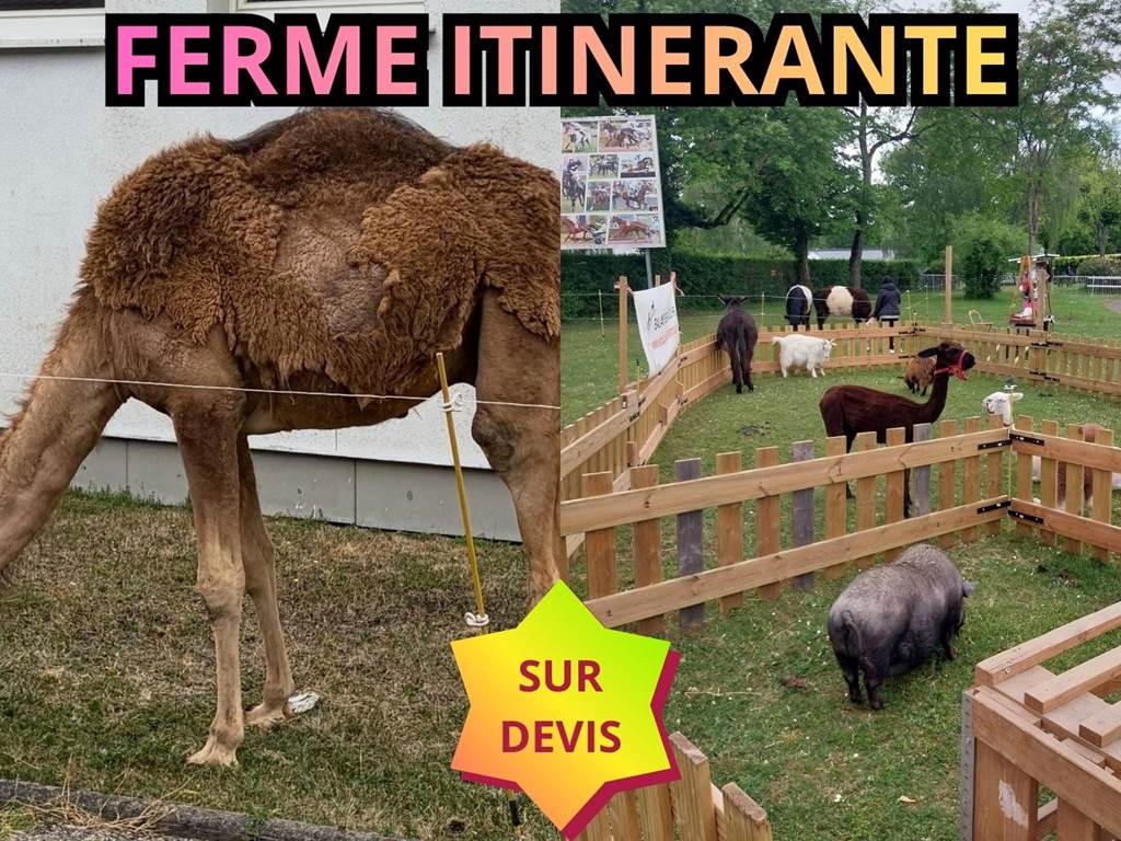 L’écurie du Vermois (30)