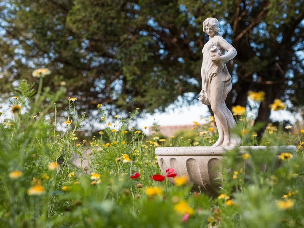 Petite fée du jardin