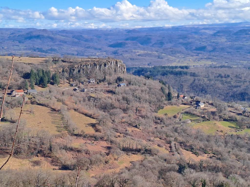 Les orgues