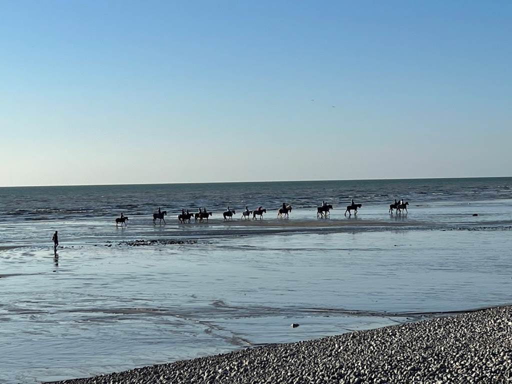 plage sortie balade a cheval