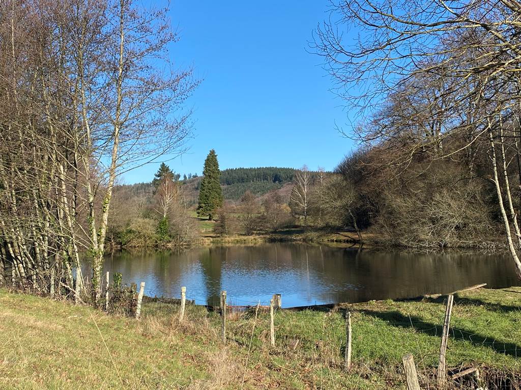 Les terres de la chouette, les nombreux petits étangs font le charme des paysages Limousin