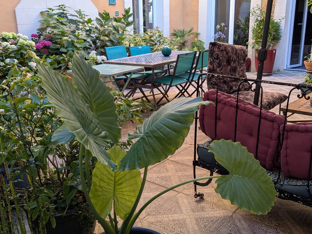 La grenade Bleue meilleure chambre d hôte à Pons avec piscine intérieure spa sauna