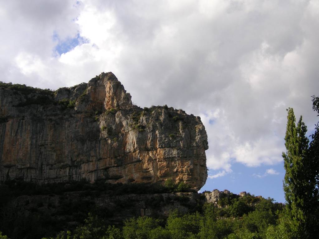 PICT0401