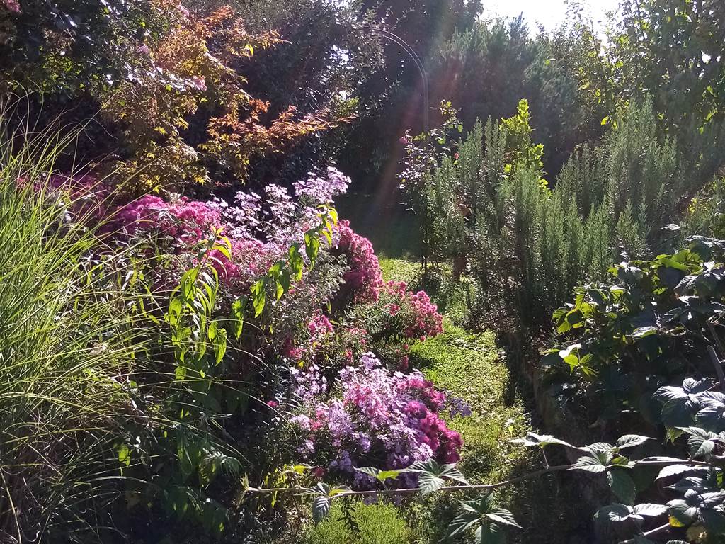 Une allée du jardin
