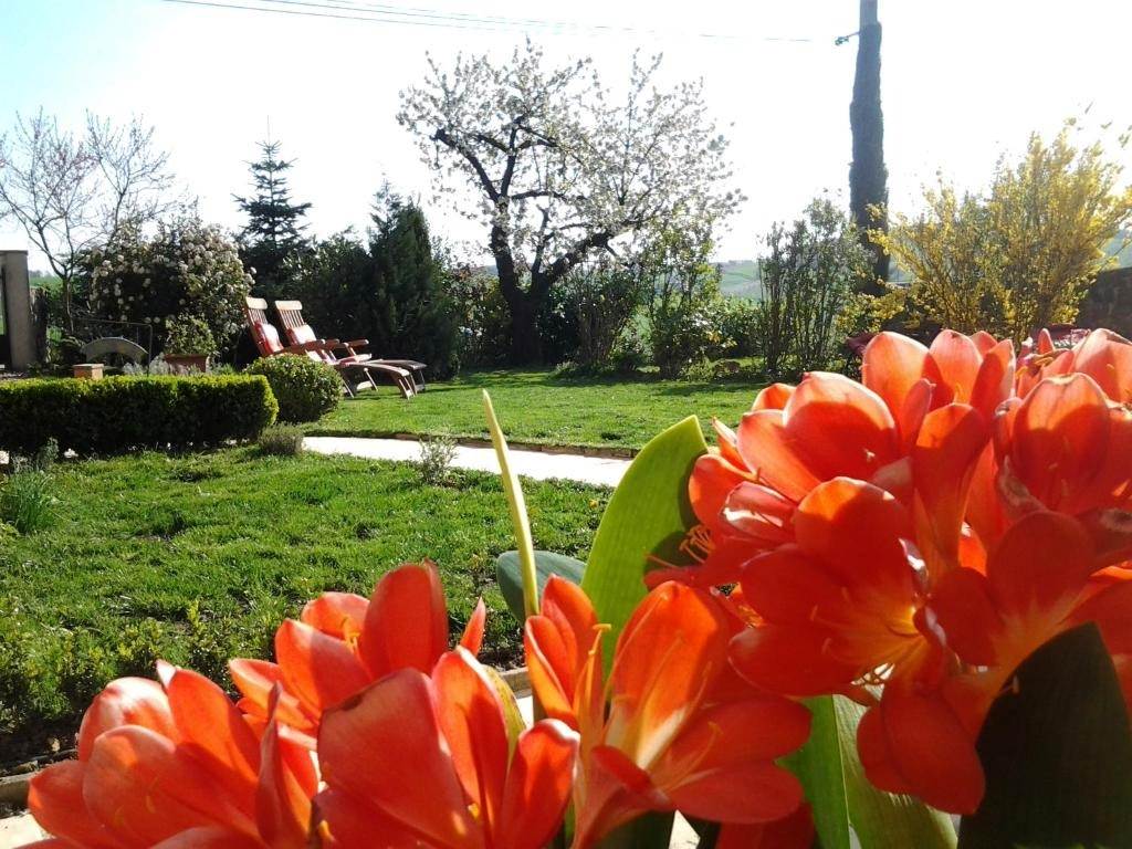 maison-hotes-suite-independante-rhone