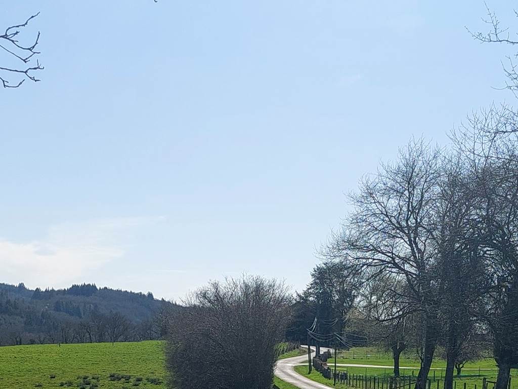 Viens je t'emmène dans un havre de paix. Le Ranch des Lacs une Maison de cœur depuis 1995