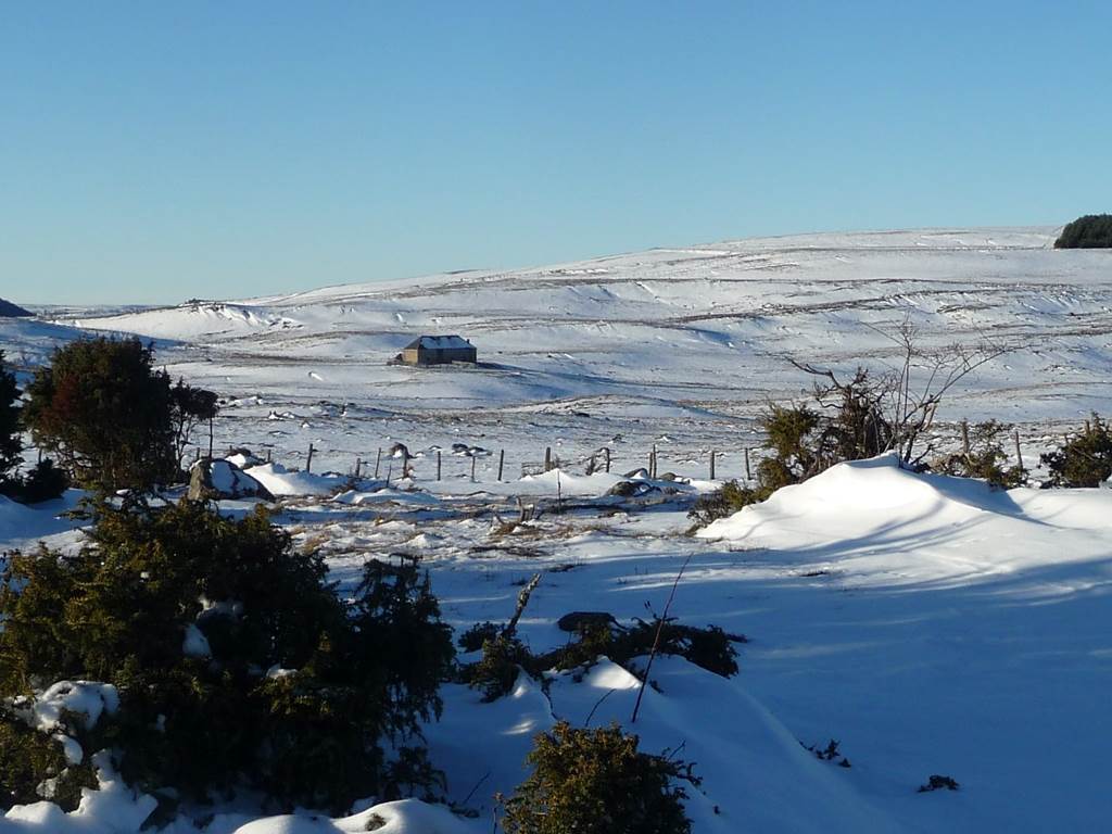 15-ecolodge-hiver
