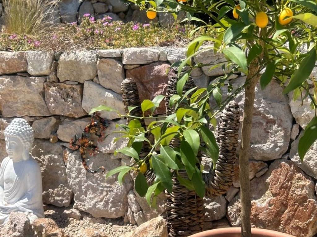 villa-maluan-location-vacances-luxe-cote-azur