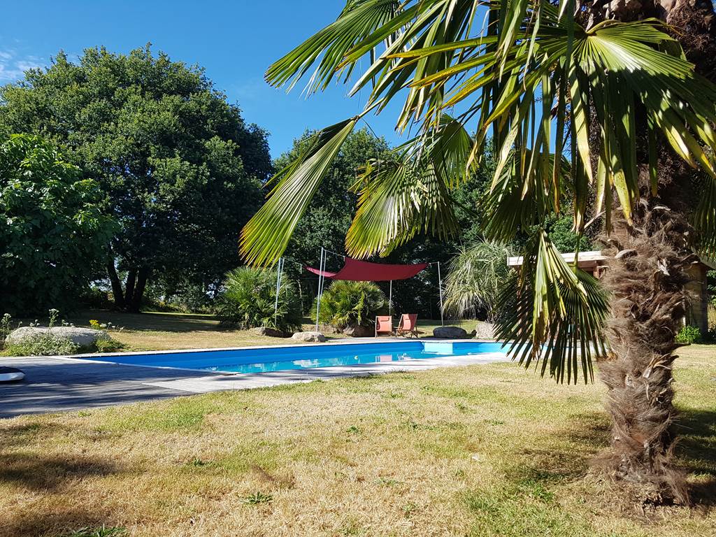 Piscine et détente