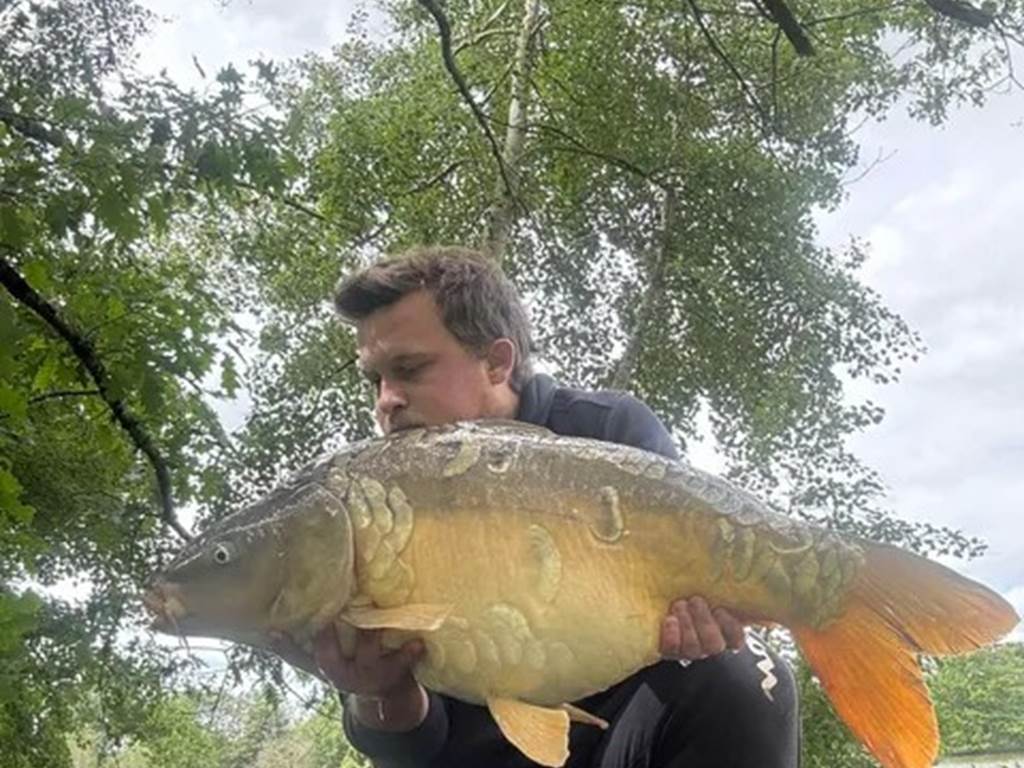 image-1669006444188612