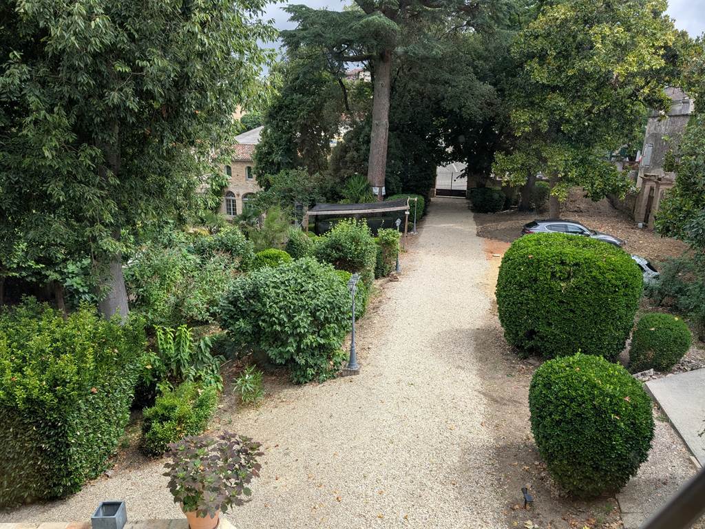 L'allée principale