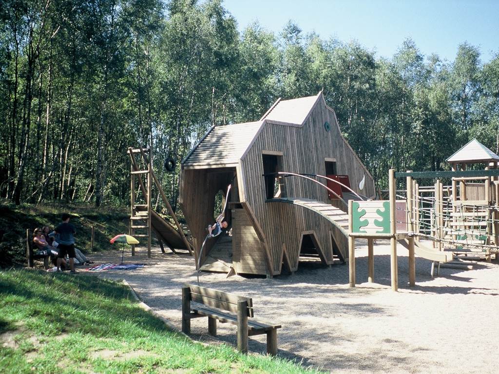Parc plaine de jeux - sanglier