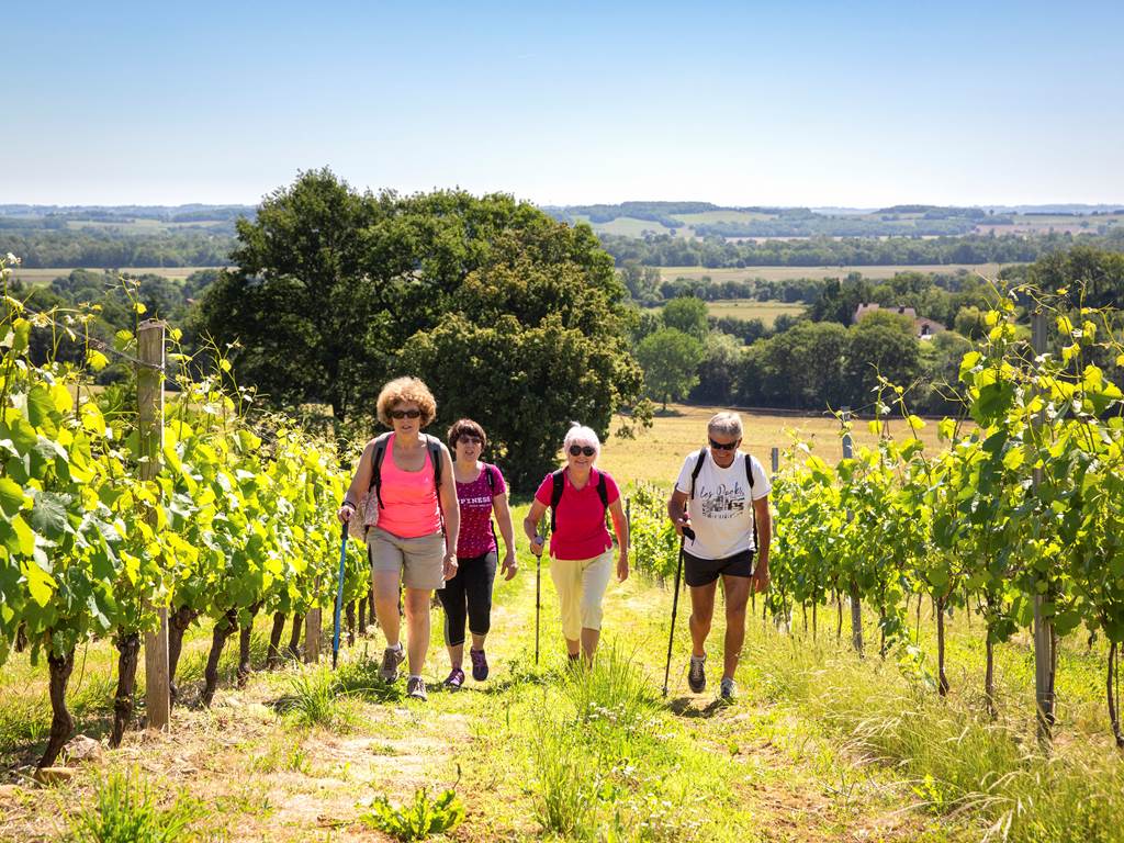 randonnée dans les vignes©PMeyer (4)