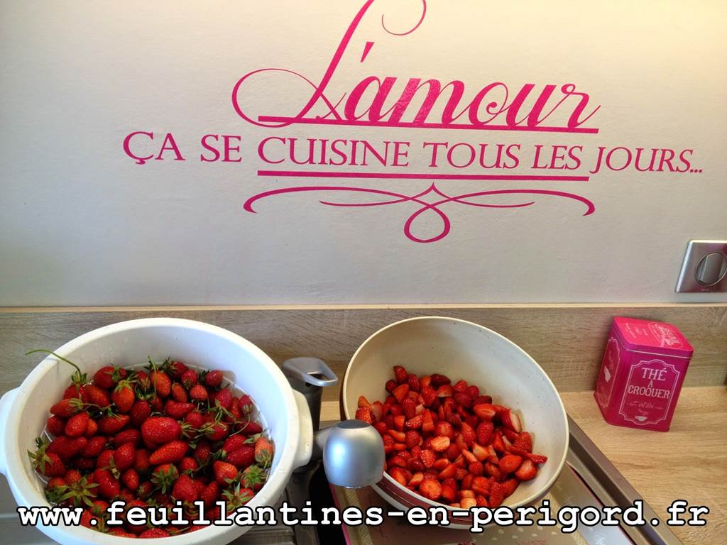 fraises périgord Feuillantines bnb