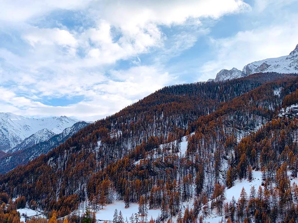 vue paysage montagne locations queyras