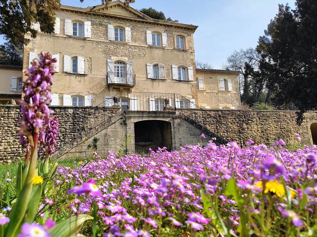 facade fleurs printemps