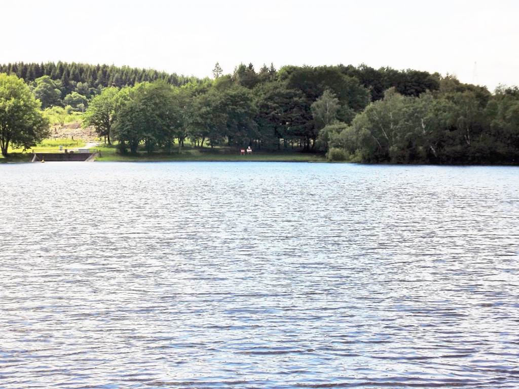 Gîte n°19G5382 "L'oustal du Lac" – SERVIERES LE CHATEAU