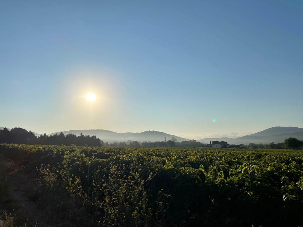 Au dessus des vignes