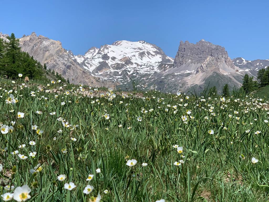 Vue sur le Mont Thabor.