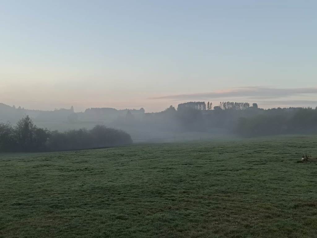 Brume matinale