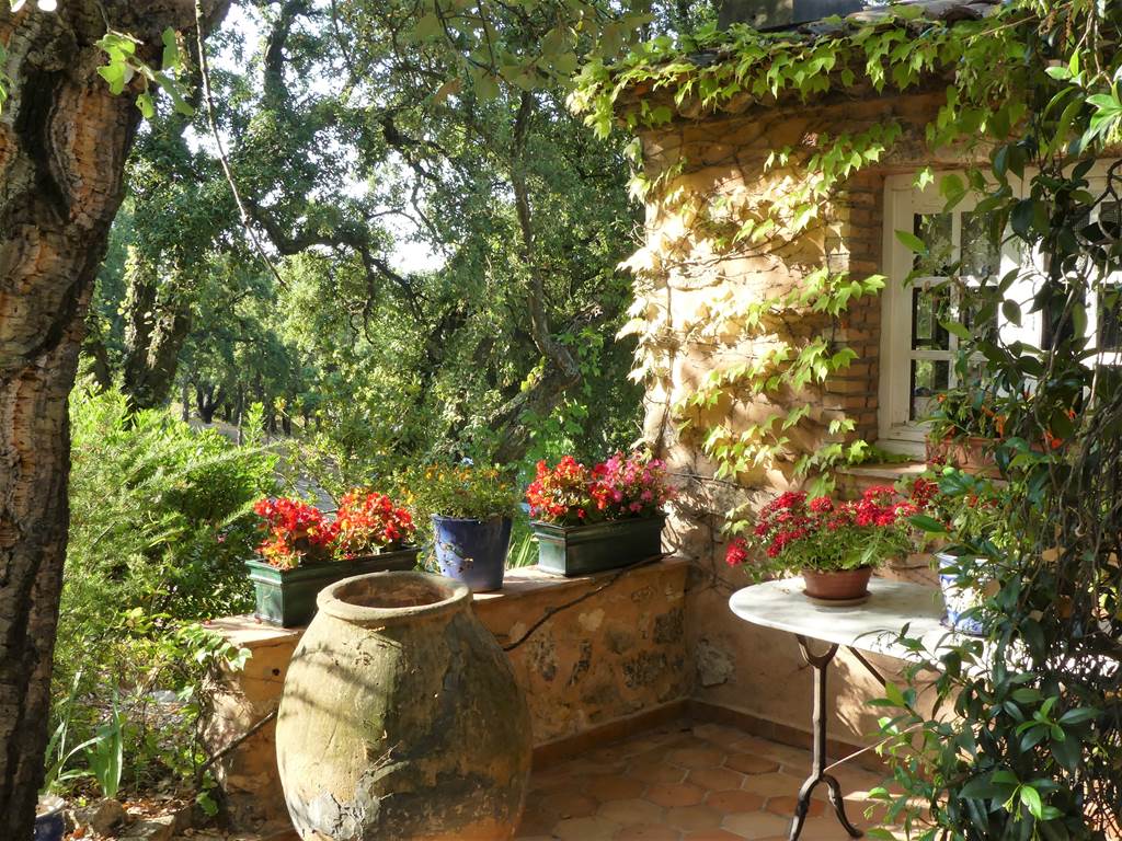 Côté terrasse
