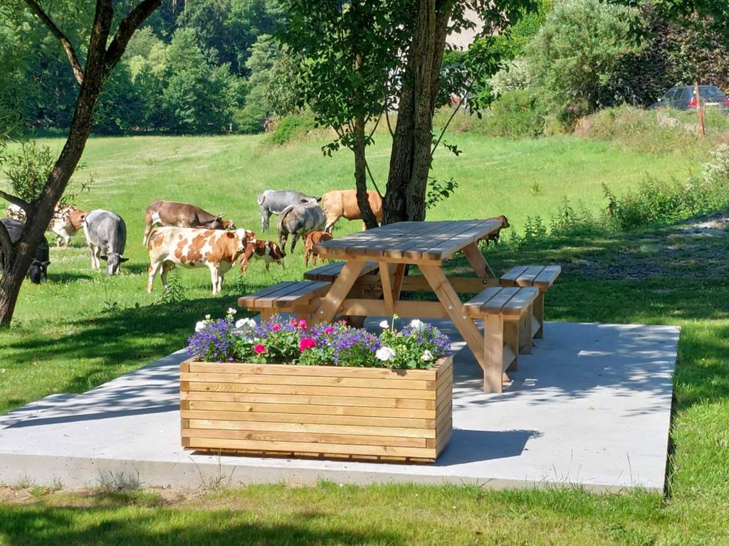 641b6120-b177-4229-9eba-d556ff45809b