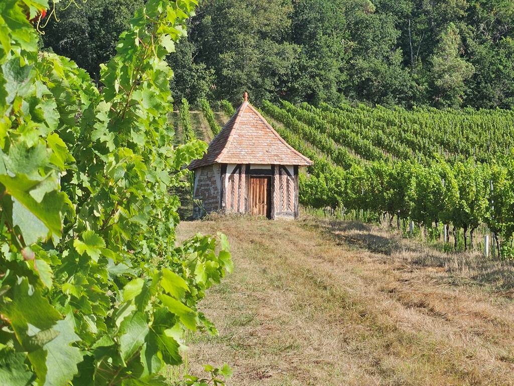 Vignoble-Bergeracois-Le Fleix-Dordogne