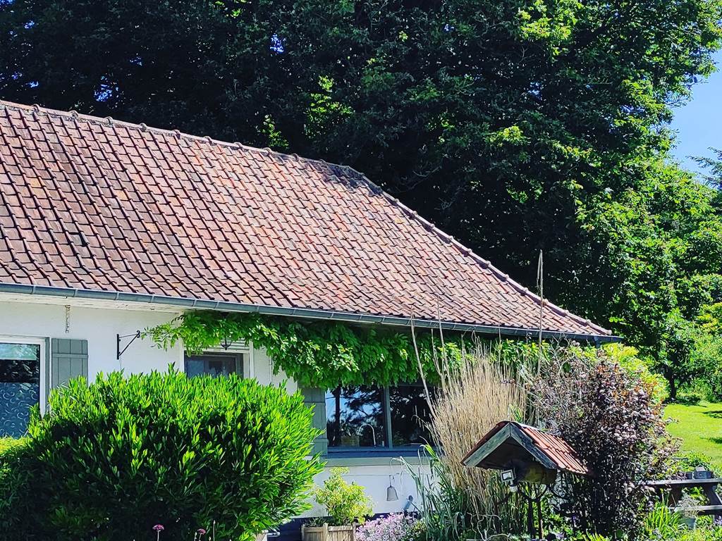 IMG_20210612_161237_606