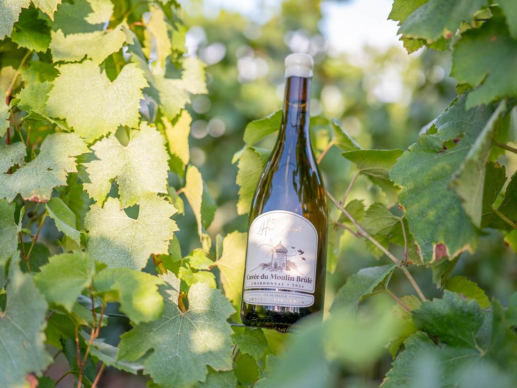 Packshot-Bouteilles-5