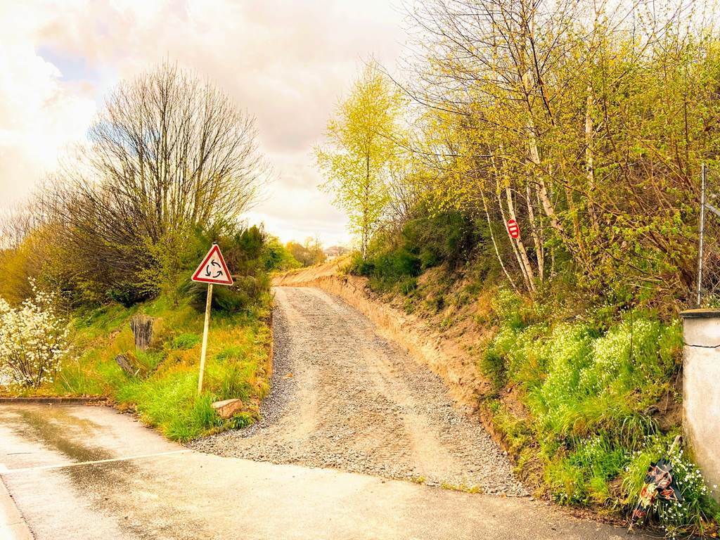 Pipistrelles19-chambredhotes-gite-meymac-lacsechemaille