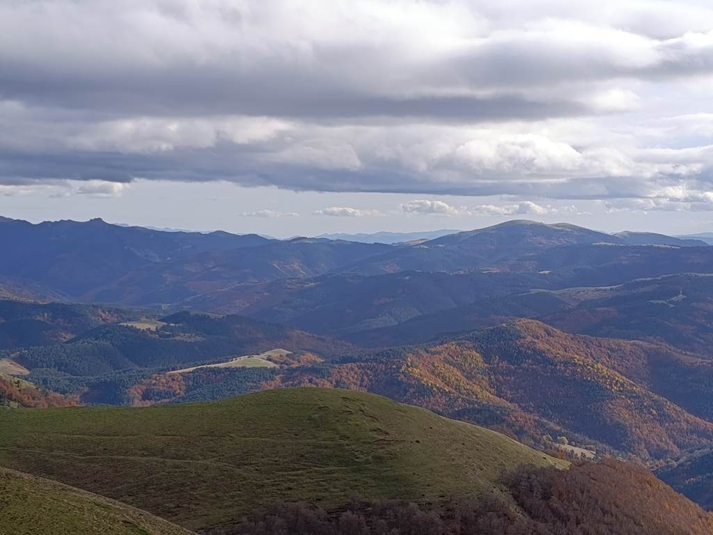 985c1b57-20aa-4e51-b6d1-5d0074da6a3e-1_all_8120