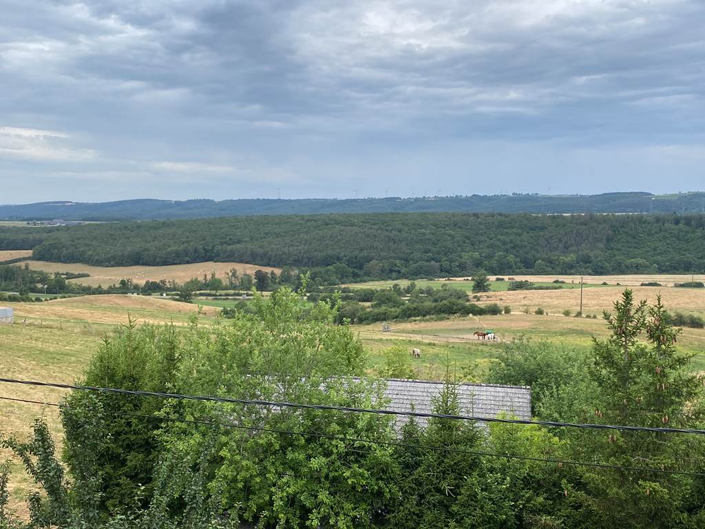 Vue depuis la terrasse