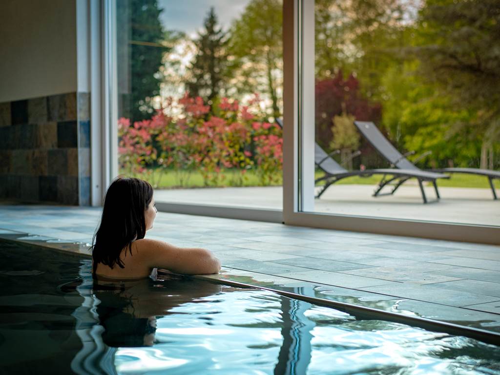 gites-luxe-alsace-nord-karlsmuhle-espace-bien-etre-piscine-sauna-spa-21