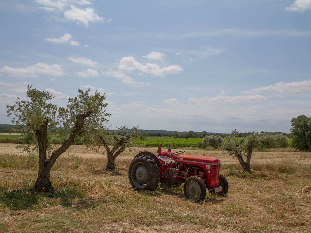 Vue panoramique sur le domaine viticole entouré de vignes à Puimisson, dans l’Hérault