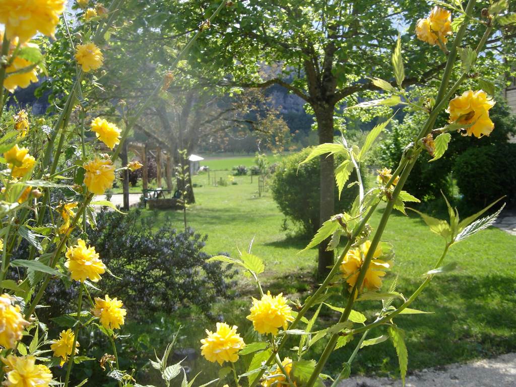 vue jardin fleurs