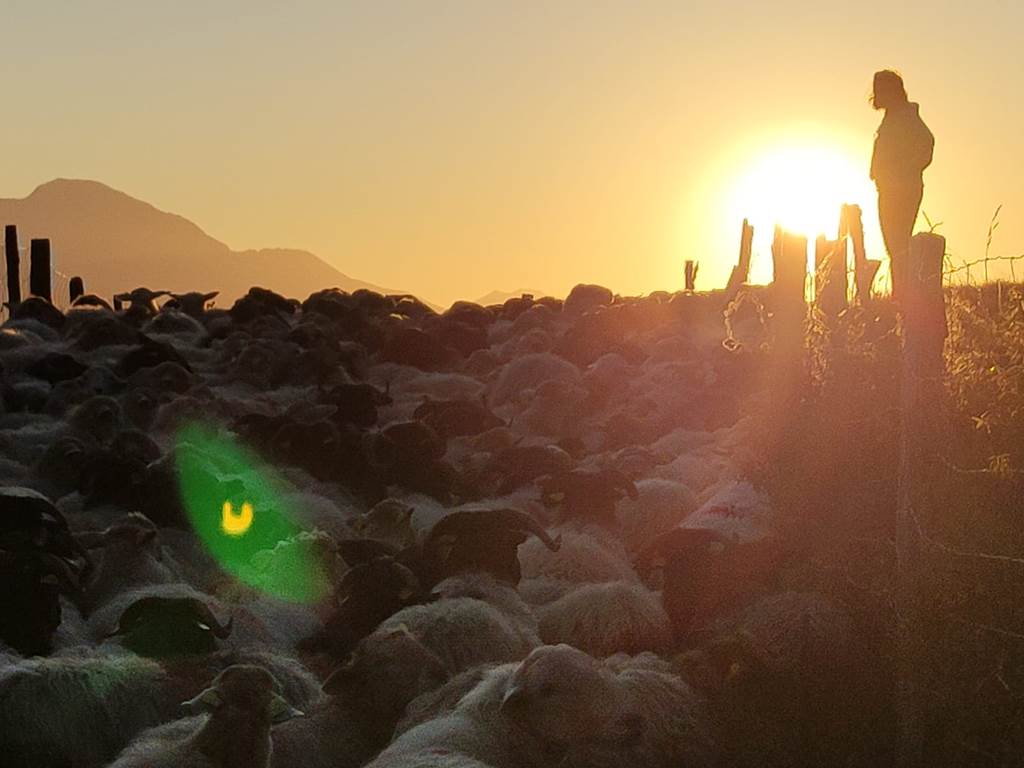 Gîte Ainerak, Pays Basque, Pyrénées, Soule, Kakouetta, La Verna, Sainte Engrâce, la Pierre St Martin