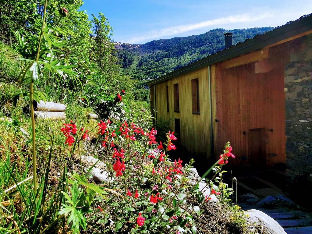 Le chalet entouré de fleurs