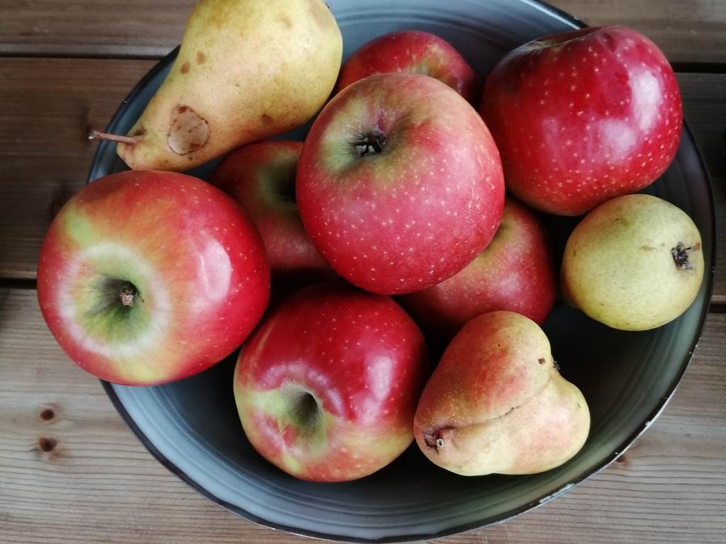 Les pommes du jardin