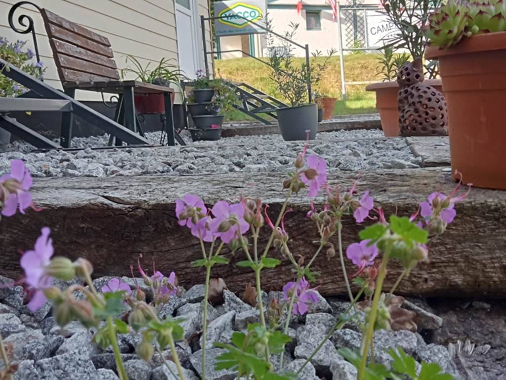 camping-la-perle-creuse-accueil