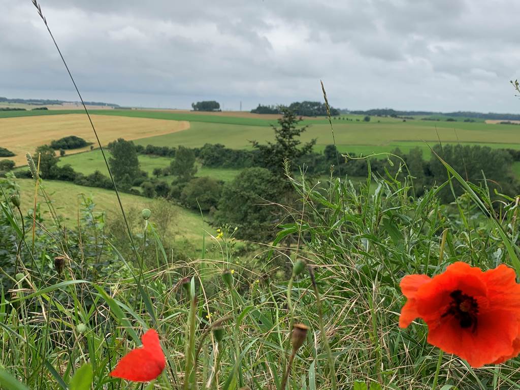 Paysages vallonnés et nature préservée du Pays des 7 Vallées, cadre idéal pour un séjour au vert dans notre gîte du Pas-de-Calais.