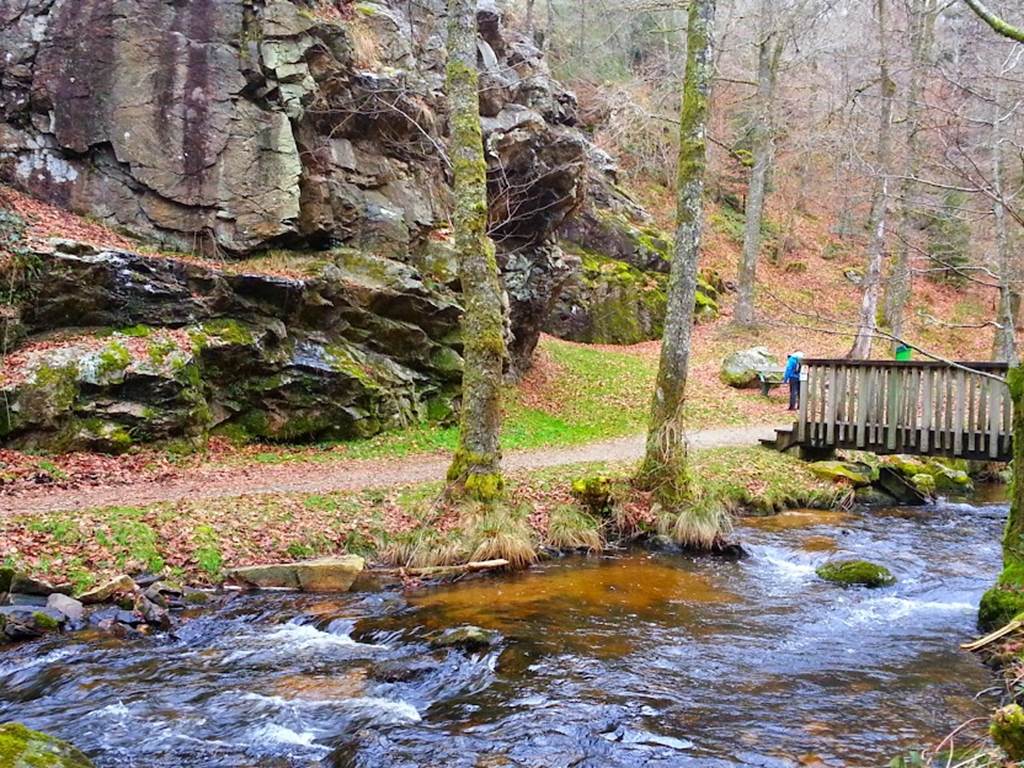 Domaine-Paquerettes-et-Pissenlits-gorges-du-verger